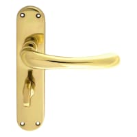 Manital Euroline Ibra Lock Lever on Bathroom Backplate Polished Brass
