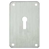 ASEC Screw On 45mm x 70mm UK Mortice Escutcheon Stainless Steel