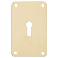 ASEC Screw On 45mm x 70mm UK Mortice Escutcheon Gold