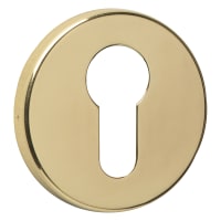 ASEC URBAN Concealed Fixing Euro Escutcheon Polished Brass (Visi)