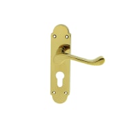 Carlisle Brass Oakley Lever Lock on Euro Profile Backplate PVD Stainless Brass