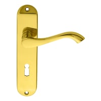 Carlisle Brass Andros Door Lock Lever on Backplate Polished Brass