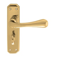 Carlisle Brass Eden Lever on Bathroom Backplate Polished Brass