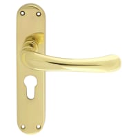 Carlisle Brass Ibra Euro Profile Lever Lock on Backplate Polished Brass