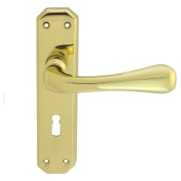Carlisle Brass Eden Lever Lock Handle PVD Stainless Brass