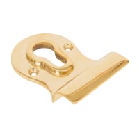 From The Anvil Polished Brass Euro Door Pull