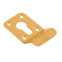 Euro Profile Cylinder Latch Pull 90 x 43mm Polished Brass