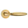 Fortessa Bulbus Lever Door Handles on Rose 130 x 51mm Polished Brass