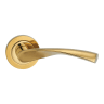 Fortessa Verto Lever Door Handles on Rose 125 x 51mm Polished Brass