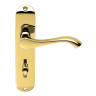 Carlisle Brass Andros Lever on Bathroom Backplate Polished Brass
