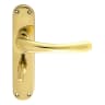 Manital Euroline Ibra Lock Lever on Bathroom Backplate Polished Brass