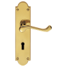Carlisle Brass Victorian Scroll Lever Lock Shape Backplate Polished Brass