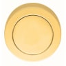 Carlisle Brass Blank Escutcheon 10 x 50mm Polished Brass