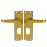 ASEC Victorian Plate Mounted Lever Furniture Oval Lever Lock Visi Polished Brass 