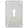 ASEC Screw On 45mm x 70mm UK Mortice Escutcheon Stainless Steel