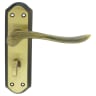 Carlisle Brass Lytham Bathroom Door Lever on Backplate Florent Bronze
