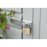 Burg-Wachter C-Line 222 50mm Brass Padlock