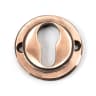 From The Anvil Polished Bronze Round Euro Escutcheon (Beehive)