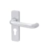 Frisco 48.5mm Euro Profile Door Handle 19mm