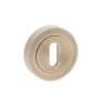 Old English Key Escutcheon Matt Antique Brass