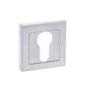 Status Euro Escutcheon on Square Rose Satin Chrome
