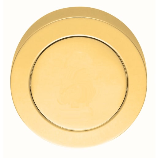 Carlisle Brass Blank Escutcheon 10 x 50mm Polished Brass