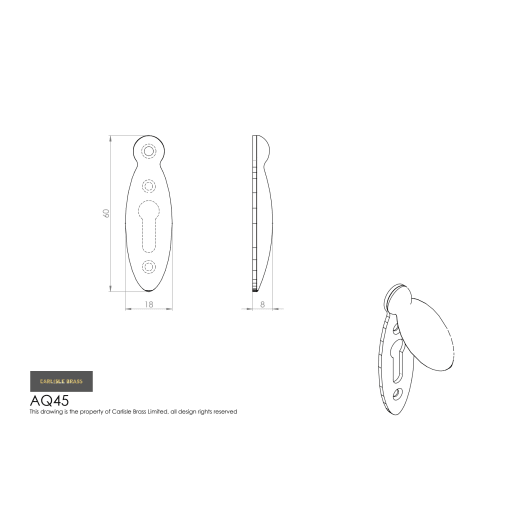 Carlisle Brass Covered Pear Drop Shaped Escutcheon Polished Brass