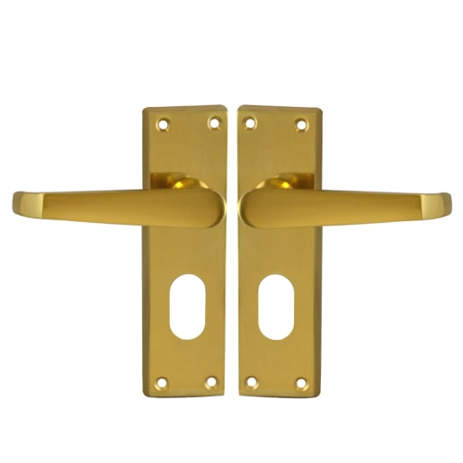 ASEC Victorian Plate Mounted Lever Furniture Oval Lever Lock Visi Polished Brass 