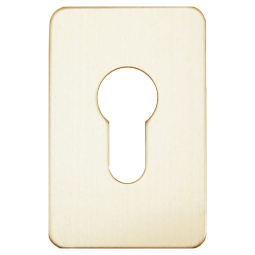 ASEC Self Adhesive 45mm x 70mm Euro Escutcheon Gold