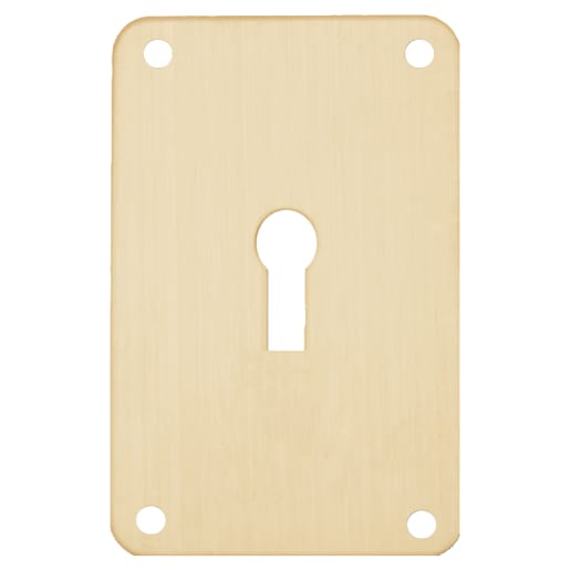 ASEC Screw On 45mm x 70mm UK Mortice Escutcheon Gold
