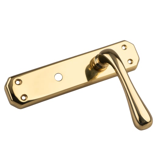 Carlisle Brass Eden Lever on Bathroom Backplate Polished Brass