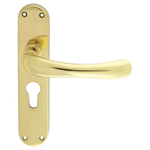 Carlisle Brass Ibra Euro Profile Lever Lock on Backplate Polished Brass